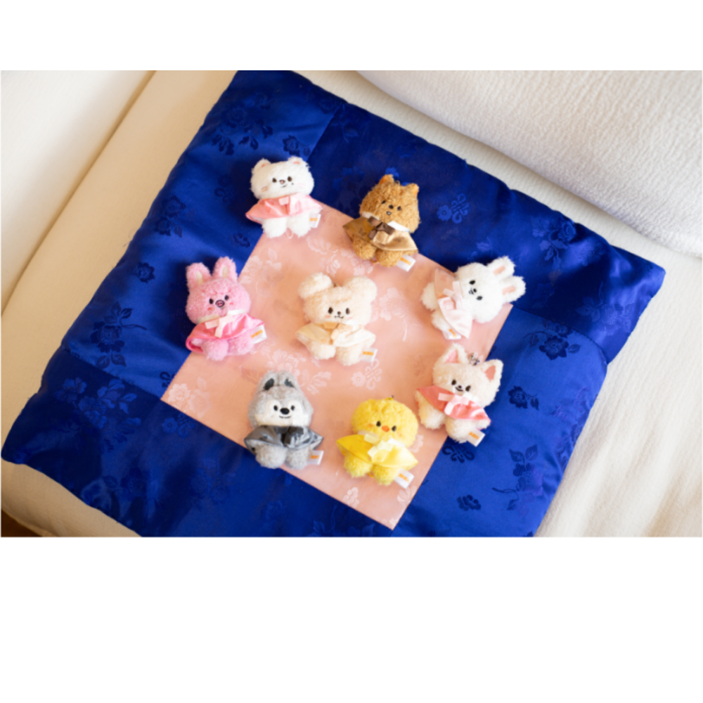 Секретный микро-плюш SKZOO SECRET PLUSH MICRO Ver. – Stray Kids World Tour RUN IT