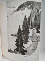 По законам красоты