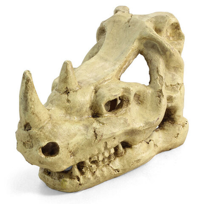 Грот "Череп носорога", 160*100*120мм, Laguna AQUA