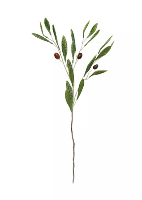 Ветка оливы с плодами 75см