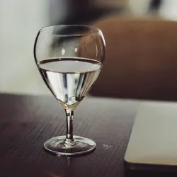 Бокал для коктейля 335 мл "Sangria" d 8/8,8 см h14 см Cocktail Week P.L. [6]