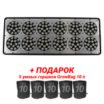 Светильник светодиодный APOLLO 12, 430 Вт + ПОДАРОК