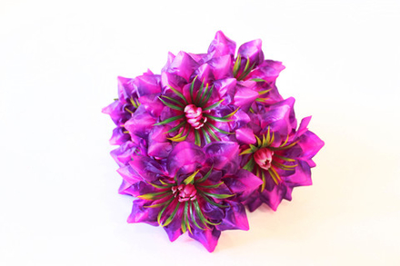 Букет георгинов с пласт. серединкой