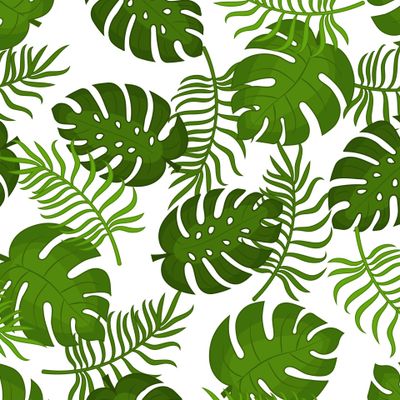 Пальмовые листья на белом фоне.