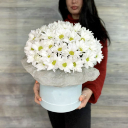 Хризантема в шляпной коробке