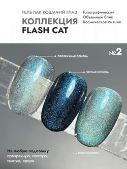 Гель-лак FLASH CAT 2