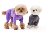 004 Костюм (ВЕЛЮРОВЫЙ) с высоким воротом "Angel Monsters Velour Highneck" Puppy Angel