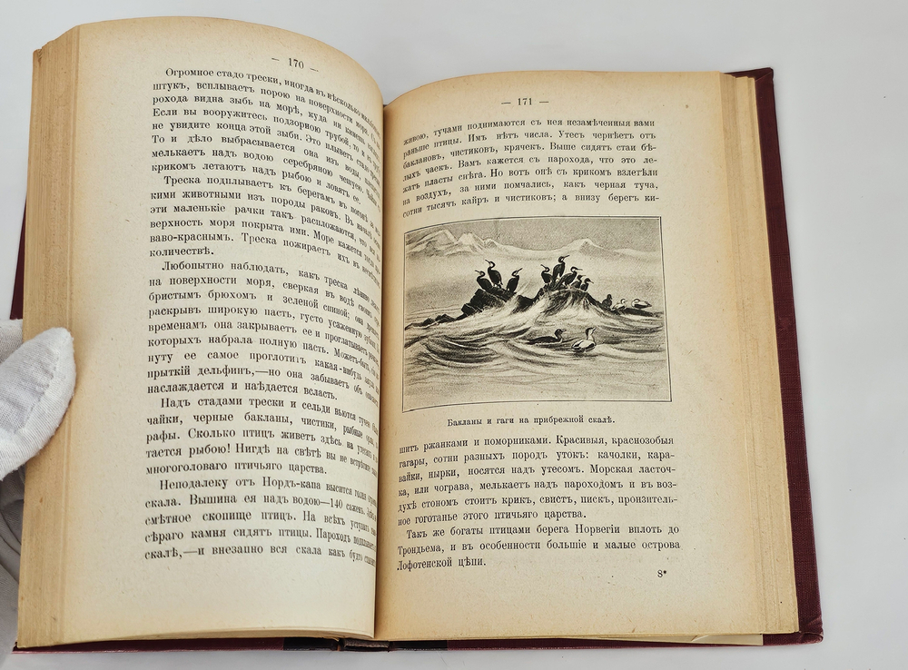 "Путешествие по Норвегии". 1903г.