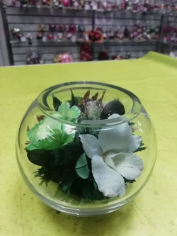 натуральные орхидеи в стекле, вакуум