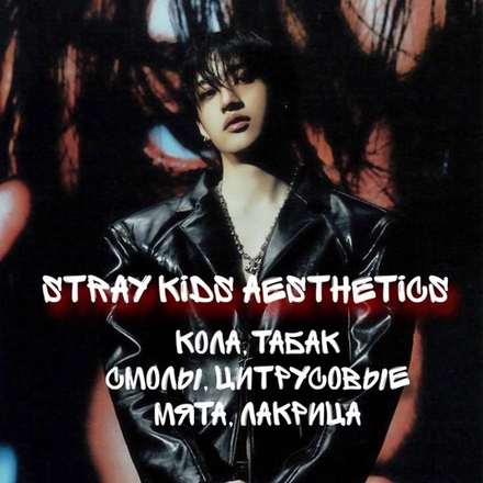 Stray Kids aesthetics