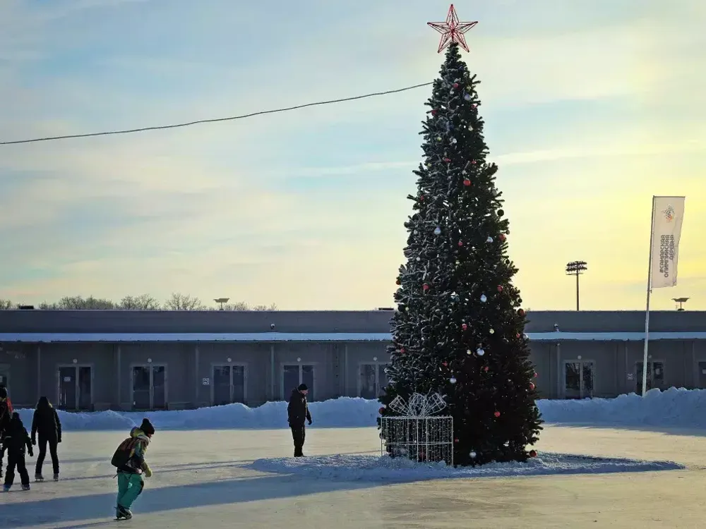 Уличная елка каркасная "Евро-2" (пвх) 18 м