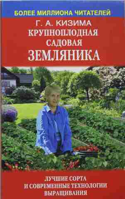 Крупноплодная садовая земляника: лучшие сорта и современные технологии выращивания