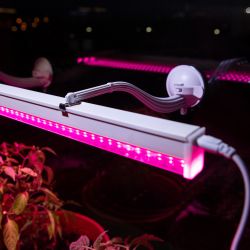 Кронштейн для ламп и светильников ЭРА FITO-Hanger на присоске