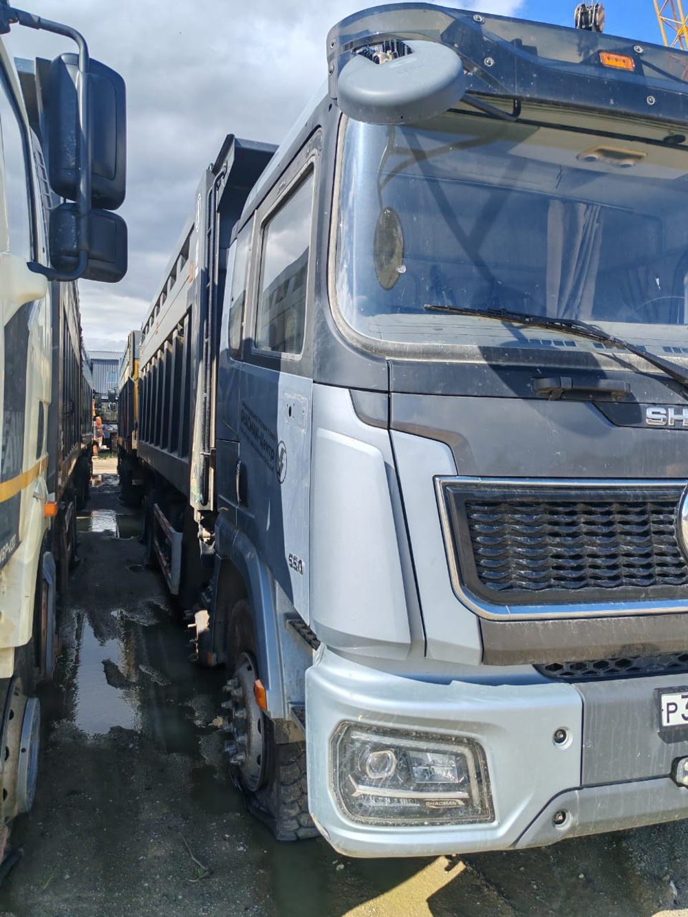 Shacman (Shaanxi) SX* 8x4 Самосвал SX331863366 (Дизельный, 12,5 л, 544 л.с., МТ)