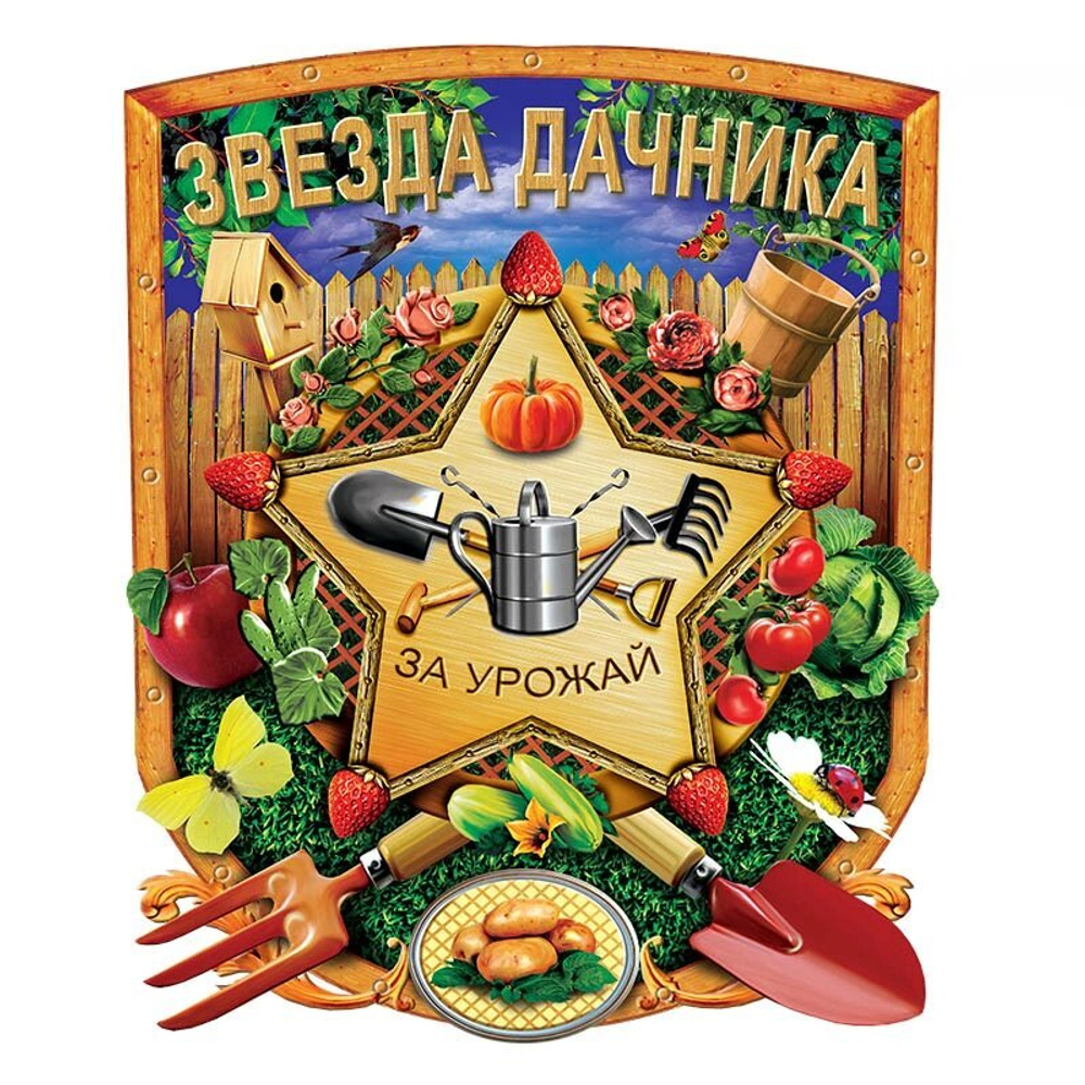 Футболка "На даче" 46