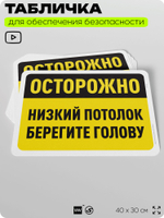 Табличка для обеспечения безопасности "Осторожно, низкий потолок, берегите голову", для офиса, по охране труда для предприятия, организаций, 40х30 см, Silver Plane x Айдентика Технолоджи