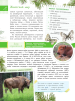 Красная книга Заповедники России Животные и растения