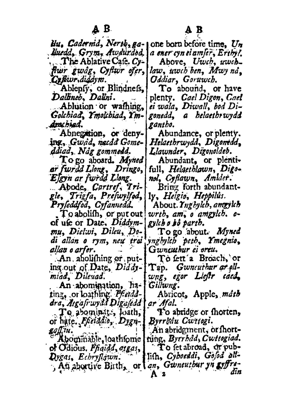 The English and Welch Dictionary | John Roderick