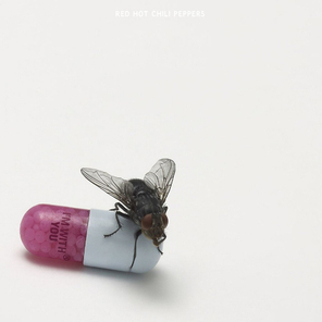 Red Hot Chili Peppers / I'm With You (CD)