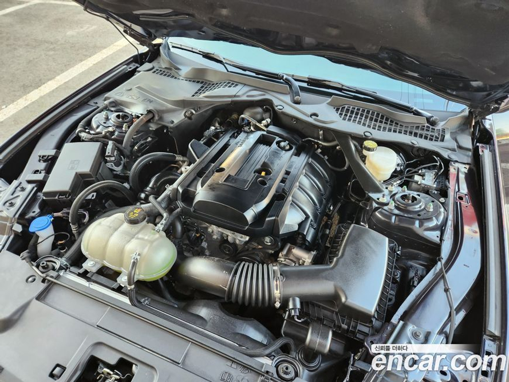Ford Mustang Convertible (10.2022)