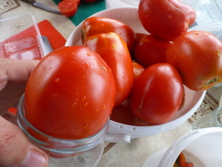 Помидоры - Amos Coli - Амос Коли
