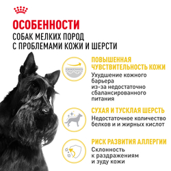 Royal Canin Mini Dermacomfort Корм сухой для взрослых собак мелких размеров при раздражениях и зуде кожи - 1 кг