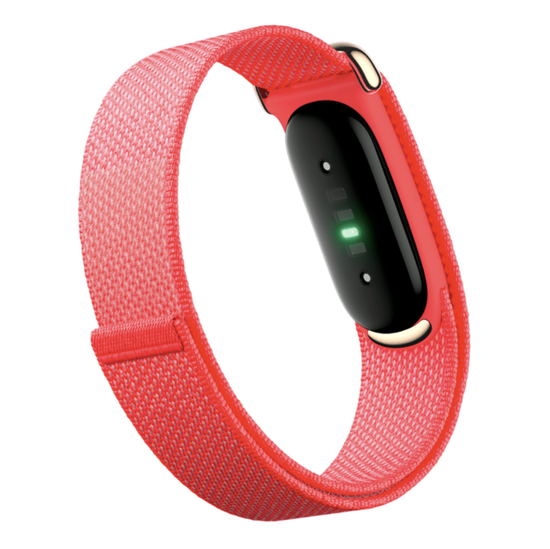 Фитнес-браслет Google Fitbit Air («Ягода» | Berry)