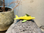 Loewe Dolphin Charm