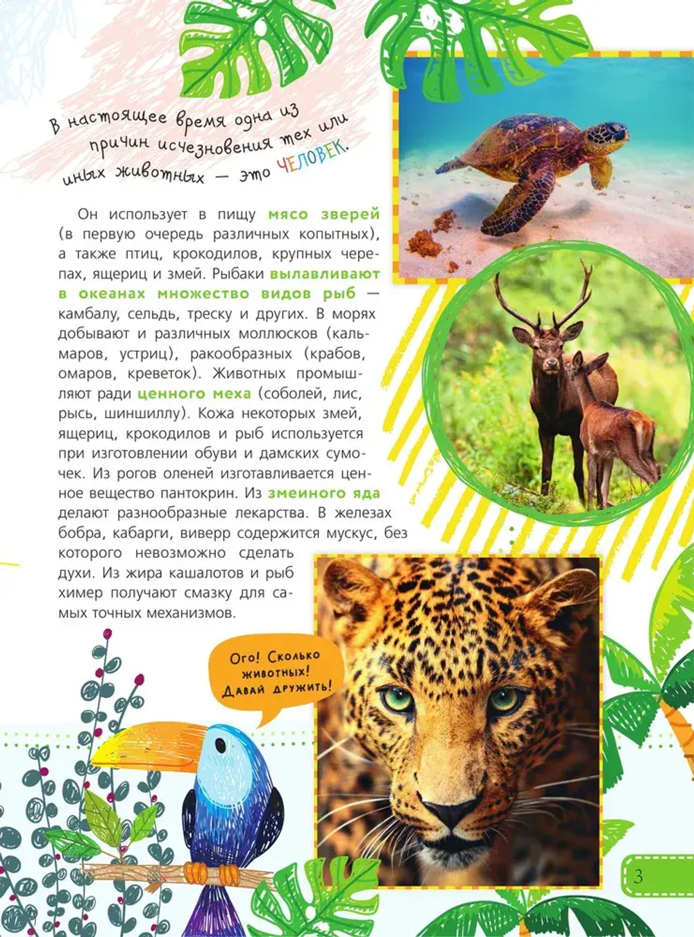 Красная книга для малышей