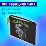 Папка для тетрадей BRAUBERG А5 1 отделение полиэстер на молнии с ручкой "Tyrannosaur" (3 штуки в упаковке)