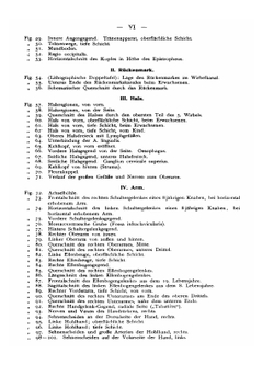 Atlas der topographischen Anatomie des Menschen: für Studierende und Ärzte | Karl Heinrich von Bardeleben