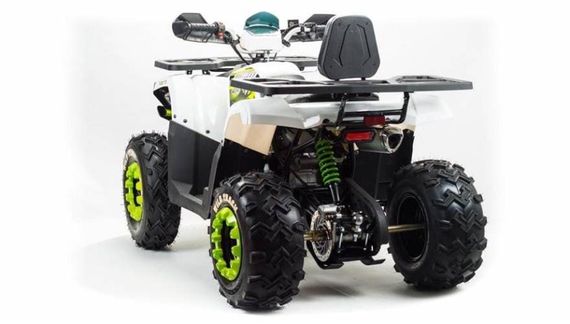 Квадроцикл MOTOLAND 200 Wild Track Lux ( Баланс. вал) (2021 Г.)