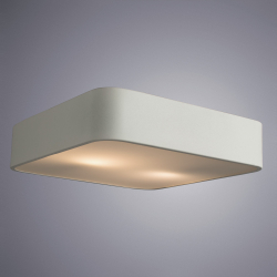 Накладной светильник Arte Lamp A7210PL-2WH