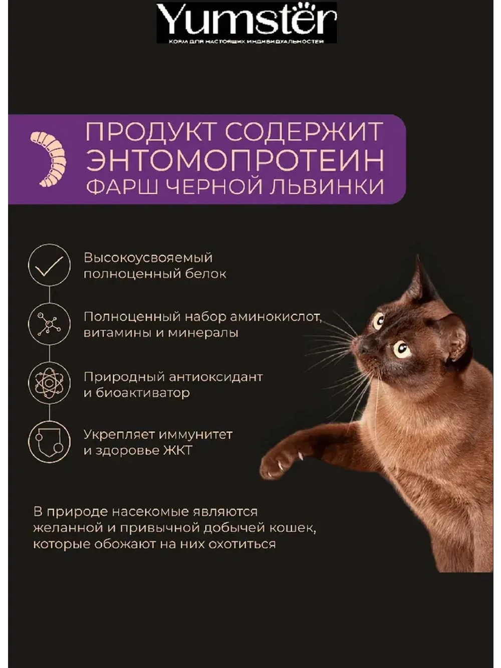 Влажный корм для стерилизованных кошек, Кролик 85г х 24 шт.