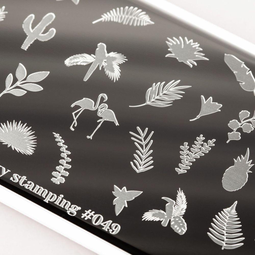 Swanky Stamping Пластина для стемпинга 049 фрукты