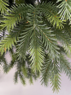 Ель карпатская 185см Black Box зеленая