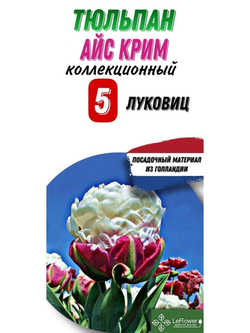 Тюльпан Луковица, Айскрим, 5шт