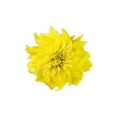 Цифровое панно ID Wall YELLOW FLOWER