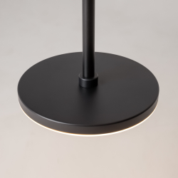 Подвесной светильник Maytoni P076PL-L12W3K-B