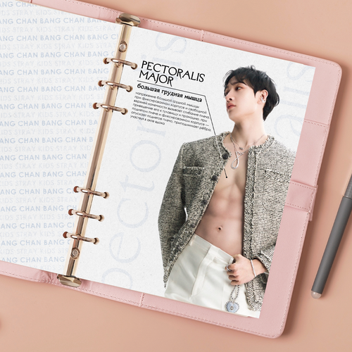 Принт / Разделитель А5 / STRAY KIDS / Бан Чан