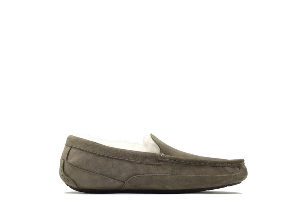 UGG Mens Ascot Taupe