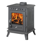 Чугунная печь-камин ERIK