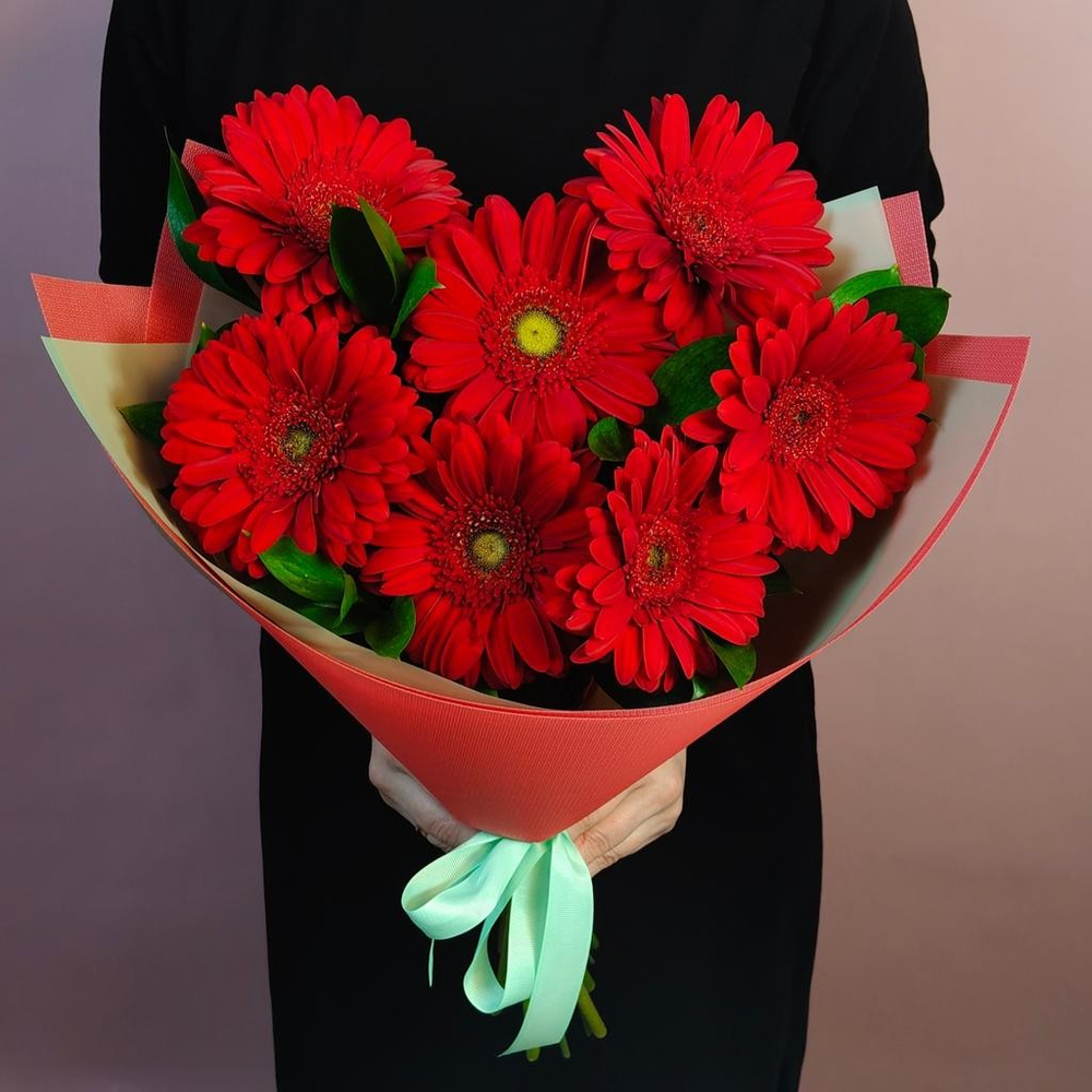 С18079 МОНОБУКЕТ ИЗ 7 ГЕРБЕР С ЗЕЛЕНЬЮ