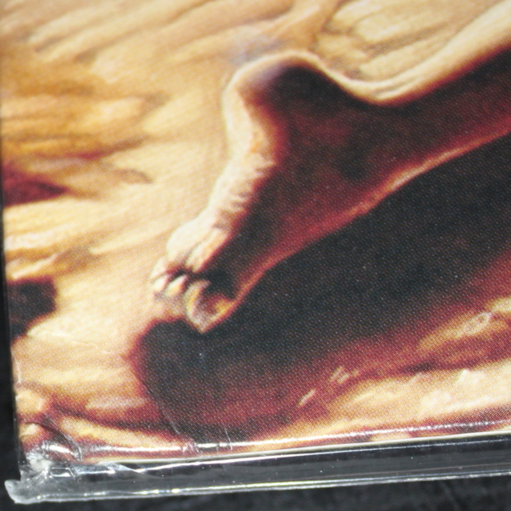 Nightwish / Wishmaster (2LP)