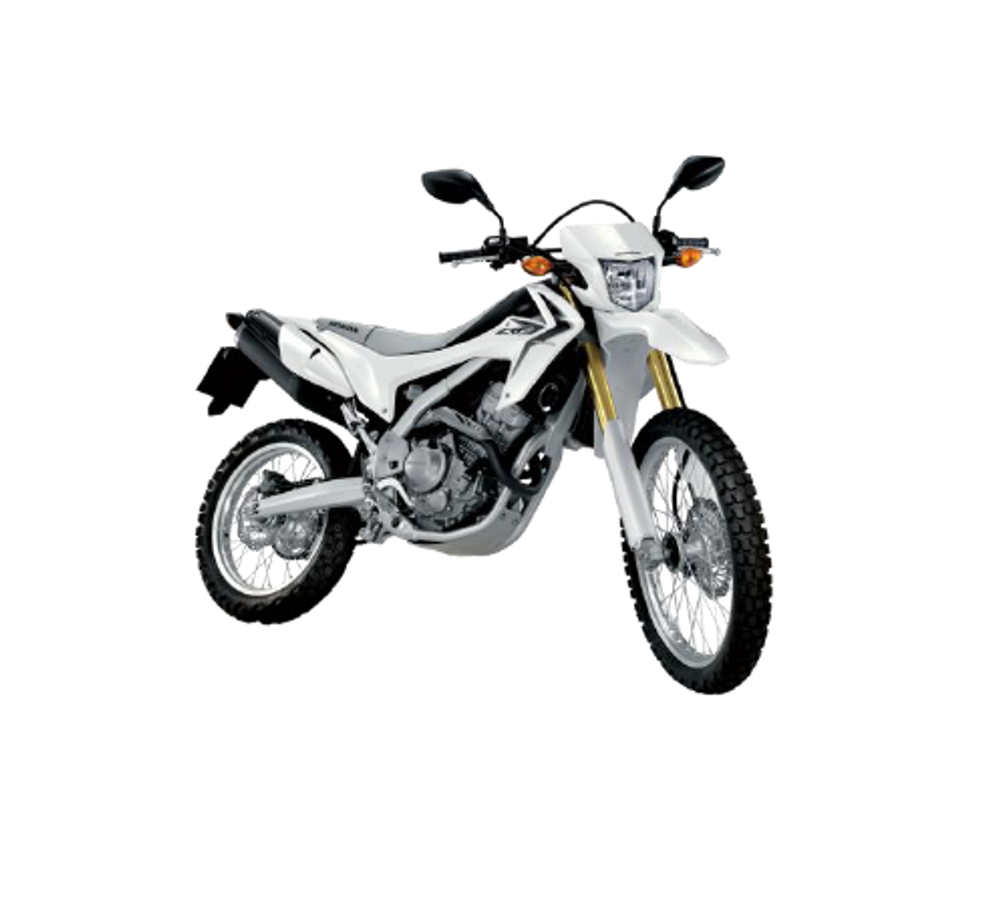 86194-KZZ-900ZC. STRIPE, L. RR. SHROUD *TYPE2* (TYPE2 )