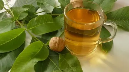 Грецкий орех (листья)