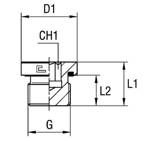 Заглушка VE (Ш) BSP 1/4