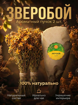 Мята длиннолистная пучок, 2 шт.