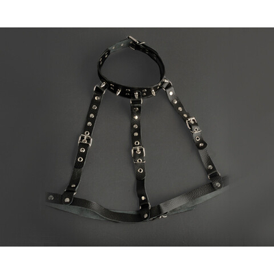 Ошейник-сбруя